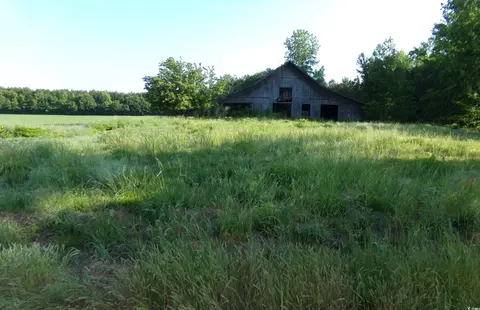 5369 Hamps Rd, Nichols, SC 29581