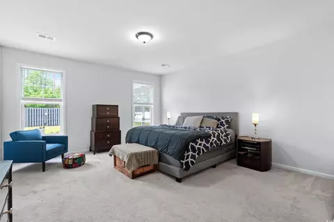 336 Firenze Loop, Myrtle Beach, SC 29579 photo 19