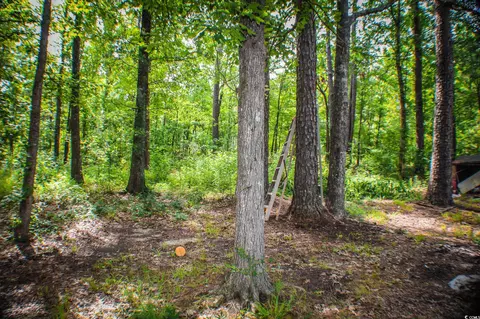 7448 Highway 9, Gresham, SC 29546 photo 3