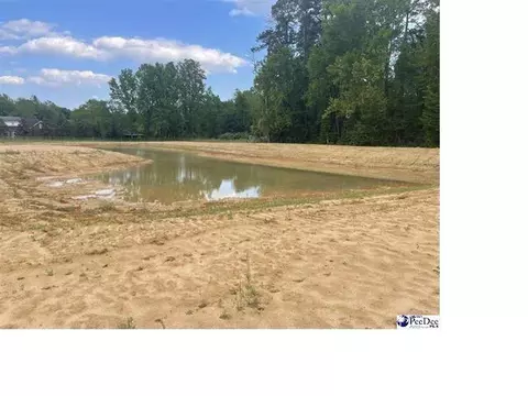 tbd Devonshire Ln, Lake City, SC 29560