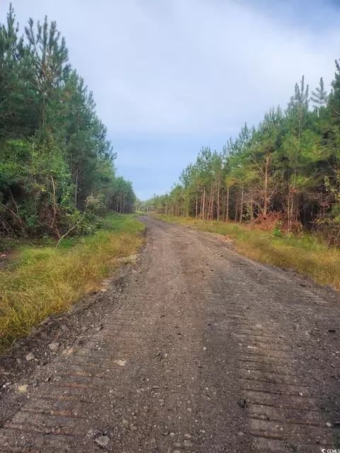 tbd S Center Rd, Darlington, SC 29532