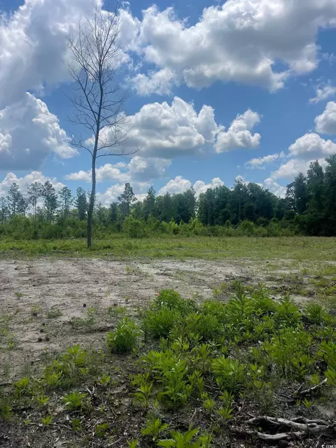 603 Mincey Dr, Loris, SC 29569