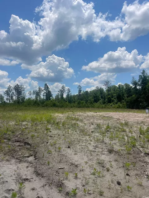 611 Mincey Dr, Loris, SC 29569