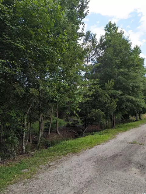 tbd Hebron Ln, Conway, SC 29527 photo 10