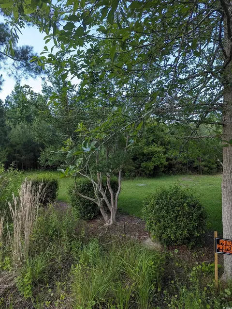tbd Hebron Ln, Conway, SC 29527 photo 2