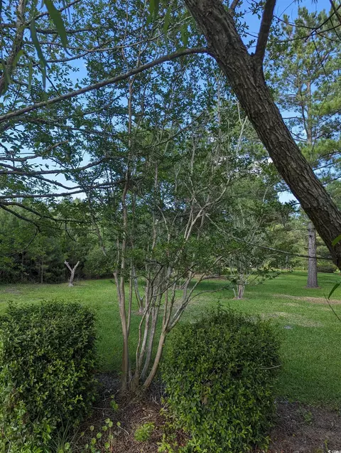 tbd Hebron Ln, Conway, SC 29527 photo 4