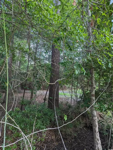 tbd Hebron Ln, Conway, SC 29527 photo 9