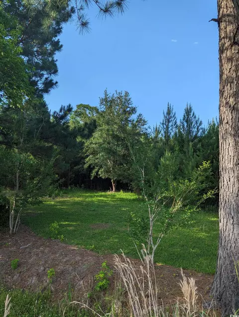 tbd Hebron Ln, Conway, SC 29527 photo 8