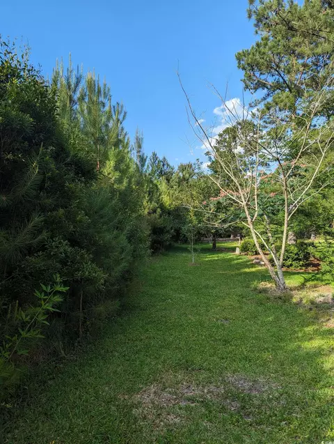 tbd Hebron Ln, Conway, SC 29527 photo 5