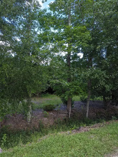 tbd Hebron Ln, Conway, SC 29527 photo 11
