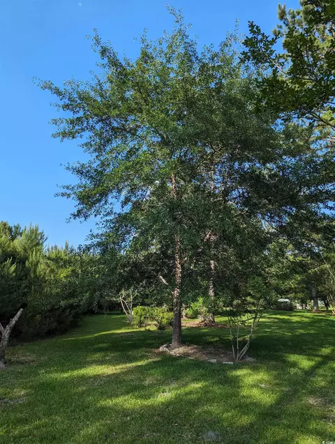 tbd Hebron Ln, Conway, SC 29527 photo 6