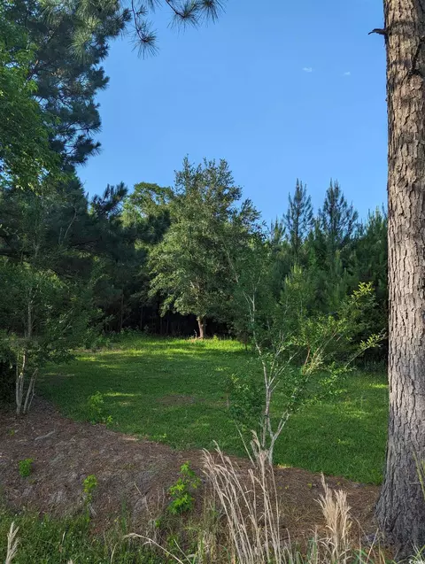 tbd Hebron Ln, Conway, SC 29527 photo 7