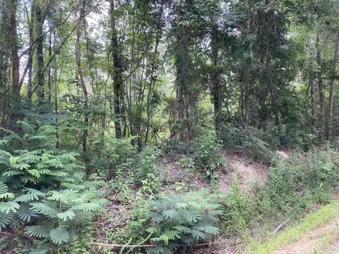 tbd Fox Bay Rd, Johnsonville, SC 29555