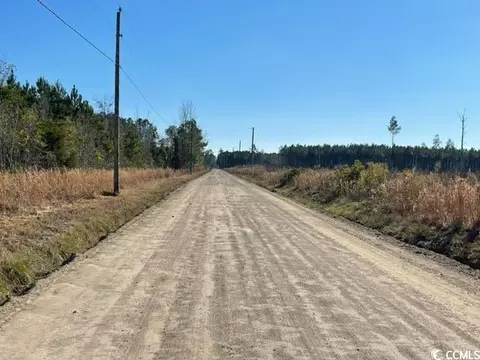 Cheyenne Rd., Conway, SC 29526 photo 2