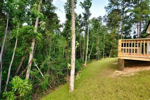 Exterior - 321 Stone Crop Ct, Loris, SC 29569 photo 4 of 6