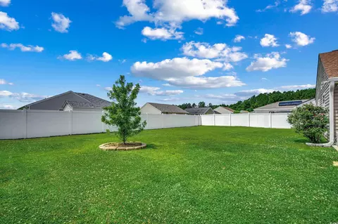817 Benchmade Rd, Conway, SC 29527 photo 19