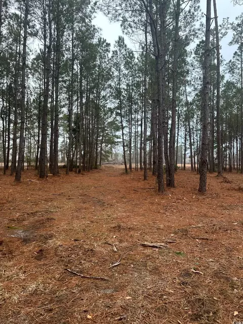 2358 Chestnut Rd, Longs, SC 29568