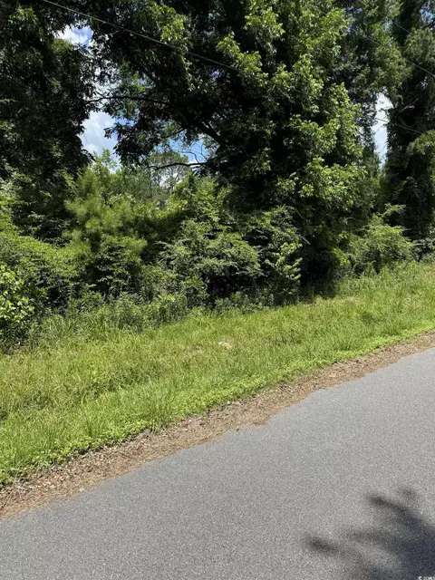 130 Eva Dr, Loris, SC 29569 photo 3