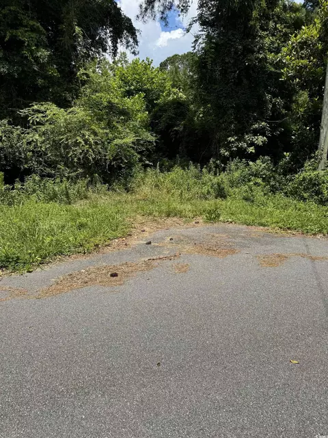 130 Eva Dr, Loris, SC 29569 photo 5