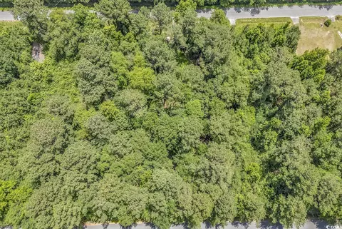 130 Eva Dr, Loris, SC 29569 photo 11