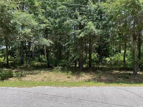 tbd Maple Ave, Johnsonville, SC 29555