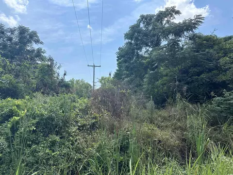 Tbd Old Train Rd., Greeleyville, SC 29056