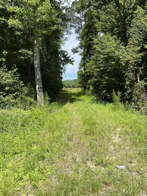 tbd Boggy Rd, Conway, SC 29526