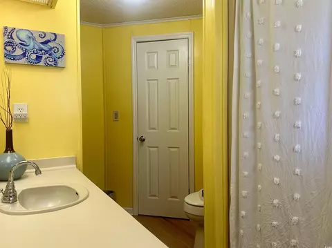 376 Sanddollar Dr, Surfside Beach, SC 29575 photo 9