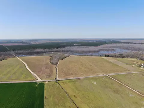 Tbd Gum Swamp Rd., Sellers, SC 29592