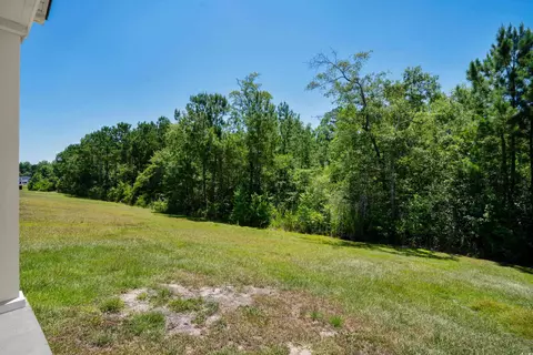 253 Cypress Tree Loop, Longs, SC 29568 photo 28