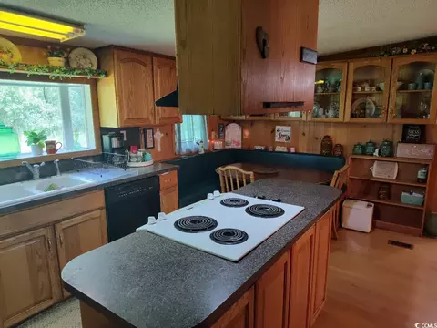 191 Island Rd, Georgetown, SC 29440 photo 5