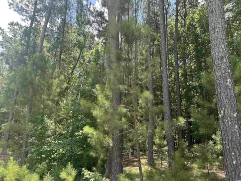 Tbd Mabel Ln., Salters, SC 29590