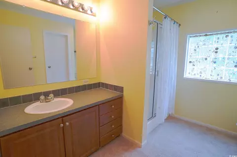7420 Rolling Terrace Dr, Conway, SC 29526 photo 33