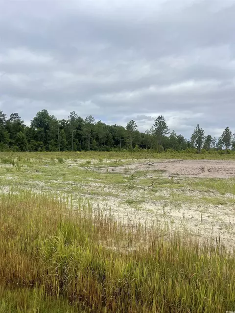 2832 Scarbrough Dr, Loris, SC 29569 photo 4