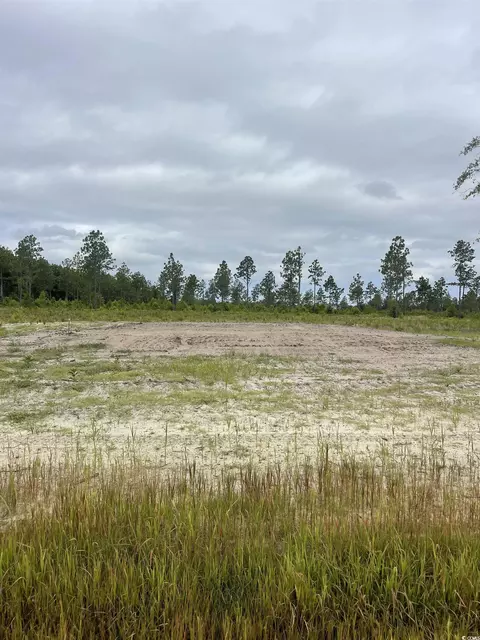 2832 Scarbrough Dr, Loris, SC 29569 photo 3