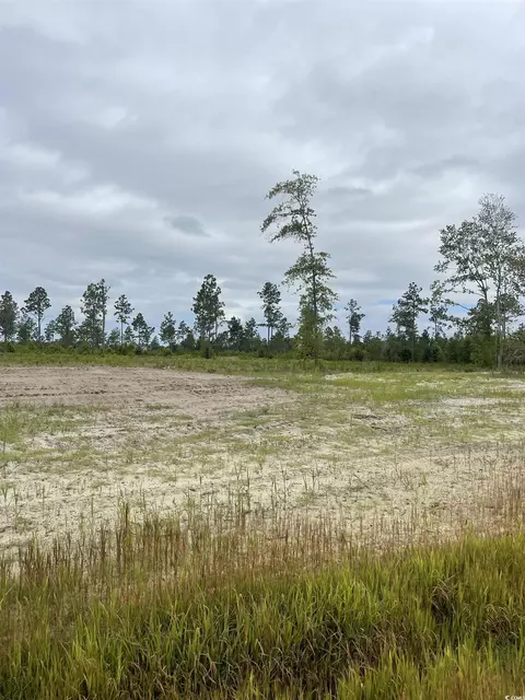 2832 Scarbrough Dr, Loris, SC 29569 photo 5
