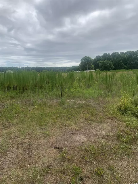 649 Mustang Ln, Pamplico, SC 29583