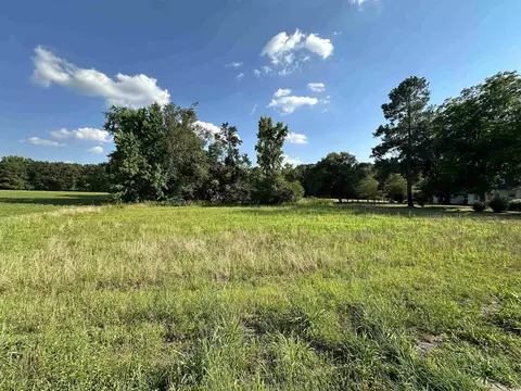 Tbd Barnhill Rd., Galivants Ferry, SC 29544