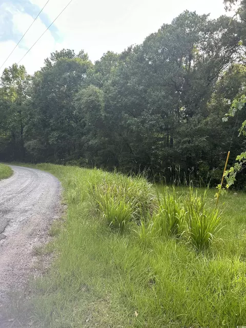 22 Bland Dr, Georgetown, SC 29440 photo 5