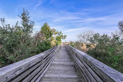 844 Commanders Island Rd, Georgetown, SC 29440 photo 29