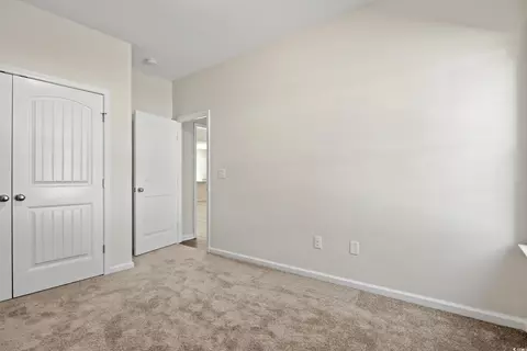 310 Chaff Ct, Georgetown, SC 29440 photo 13