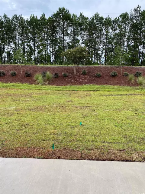 4085 Taranto Loop # -C, Myrtle Beach, SC 29579 photo 16