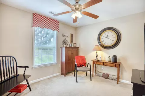 252 Ackerman Dr, Myrtle Beach, SC 29579 photo 24