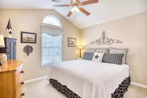 252 Ackerman Dr, Myrtle Beach, SC 29579 photo 21