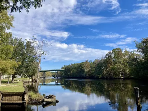 View/Area - 537 Honeyhill Loop, Conway, SC 29526 photo 5 of 6