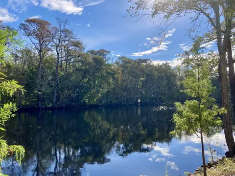 View/Area - 537 Honeyhill Loop, Conway, SC 29526 photo 6 of 6