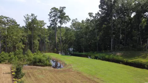 View/Area - 537 Honeyhill Loop, Conway, SC 29526 photo 4 of 6