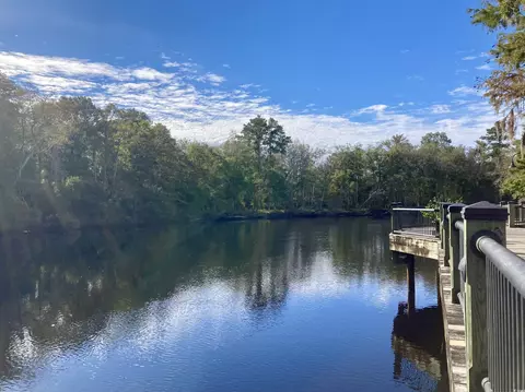 View/Area - 537 Honeyhill Loop, Conway, SC 29526 photo 2 of 6
