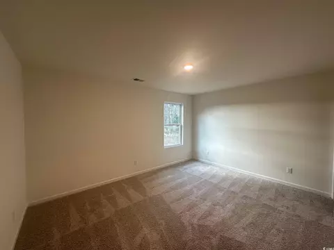 492 Honeyhill Loop, Conway, SC 29526 photo 19