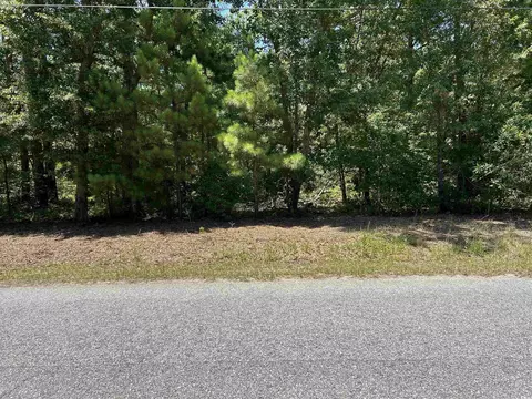 Tbd Byrnes Circle, Johnsonville, SC 29555